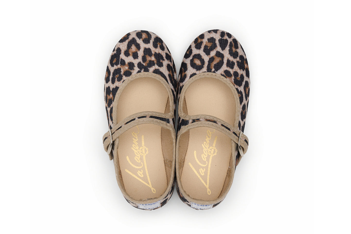 LEOPARD